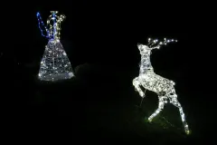 Weihnachtshaus Hoya - 2009 - Bild 006