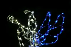 Weihnachtshaus Hoya - 2009 - Bild 007