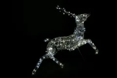 Weihnachtshaus Hoya - 2009 - Bild 008