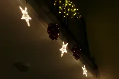 Weihnachtshaus Hoya 2011 - Bild 005