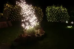 Weihnachtshaus Hoya 2011 - Bild 014