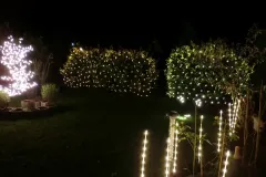 Weihnachtshaus Hoya 2011 - Bild 015