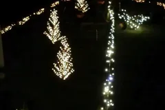 Weihnachtshaus Hoya 2011 - Bild 016