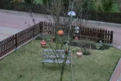 Weihnachtshaus Hoya 2011 - Bild 021