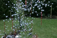 Weihnachtshaus Hoya 2011 - Bild 022