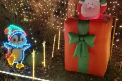 Weihnachtshaus Hoya  2025 - Bild 010