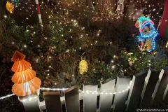 Weihnachtshaus Hoya  2025 - Bild 011